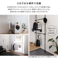 ホームテイスト つっぱりハンガーラック 2段 幅250cm ホワイト SH-29-TTHL-2 1個（直送品）