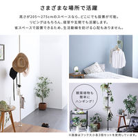 ホームテイスト つっぱりポールハンガー フック大小2個セット ブラック SH-29-TTN2 1台（直送品）