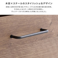 ホームテイスト 特殊鋼板を使ったキッチンカウンター ドアタイプ 幅800×奥行440×高さ850mm ナチュラル SH-22-KD80 1台（直送品）