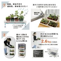 【園芸用品】 DAIM 多肉マンション ブラック 1個