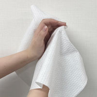 三和 使い捨てマルチシート　50枚入 ECOー3040  1箱（1200枚：50枚入×24）