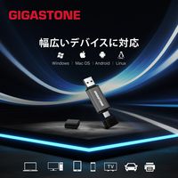 GIGASTONE USBメモリ 16GB USB3.2 2in1 OTG GJU3-AC44GY-16GB-1pk-R 1枚