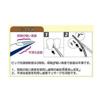 ドクターズ ブラッシュピックス 歯間ピック60本入り 携帯用つまようじ デンタルコンセプト（わけあり品）