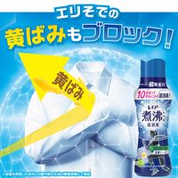 レノア 超消臭 煮沸レベル 抗菌ビーズ スポーツ クールリフレッシュ＆シトラス 本体 420mL 1個 抗菌 P＆G