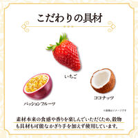 素材まるごとグラノラ 脂質70%オフ 華やぐフルーティショコラ 380g 1袋 日本ケロッグ シリアル