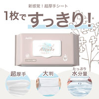 ベビーAtsudeおしりふきシート80枚 大判 新生児から ノンアルコール 無香料 1セット（80枚×3個）