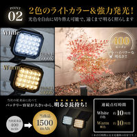 武田コーポレーション 2WAYスポットライト2P LN-S-2WSP2P 1箱(8個入)（直送品）