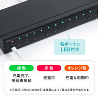 サンワサプライ  USB2.0 Type-C 12ポートハブ USB-2THCS12N（直送品）