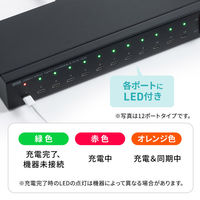 サンワサプライ  USB2.0 Type-C 20ポートハブ USB-2THCS20N（直送品）
