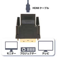ナカバヤシ HDMI ー DVI　変換アダプタ VDAーHD01/BK 1個