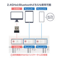 ナカバヤシ 2.4GHz＋Bluetooth　デュアルワイヤレスキーボード　ホワイト FKBーD248W 1個
