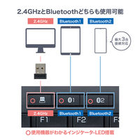 ナカバヤシ 2.4GHz＋Bluetooth　デュアルワイヤレスキーボード　ブラック FKBーD248BK 1個
