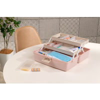 JEJアステージ　シェルフフルール350　ストロベリー　　1個