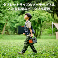 Jackery ポータブル電源 蓄電池 充電器 防災 300Plus+収納バッグセット 288Wh JSG-300SB 1セット