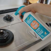 eezym イージム 酵素キッチンクリーナー 油汚れ用 オレンジ  500mL 1個 イーオクト