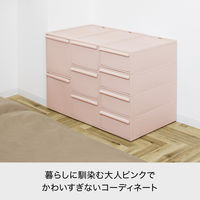 吉川国工業所 クロゼット・システム 引出し(M)3個組 P CS-D2*3P_P 1セット