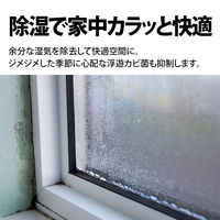 シャープ 空気清浄機 KISD50W 1台