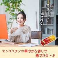 ロッテ マンゴスチンガム 9枚入 1セット（1個×15） 板ガム 個包装