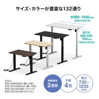 サンワサプライ e電動昇降デスク 受注生産品 幅1300×奥行700mm 薄い木目×ホワイト ERD-ER13070LM 1台（直送品）