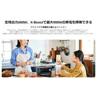 ECOFLOW ポータブル電源 RIVER3 MAX(580) EFRIVER3Max-580-JP-CBOX 1台