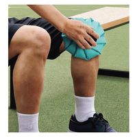 カクセー アイスバッグ IB-01 1個（直送品）