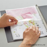 リヒトラブ Collel　ギャラリークリヤーブック Ａ4 ホワイト N463ー0 1セット（1冊×10）