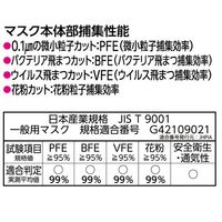 白元アース 快適ガードプロ ふつうサイズ グレースタイル 曇りにくい　使い捨て　バイカラー　プリーツマスク 1袋（5枚入）