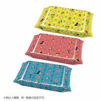 レック ＲＡ除菌シート60枚×3 ミッキー＆フレンズ 1セット（3個×16）