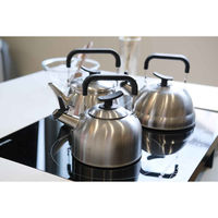 パール金属 笛吹きケトル 1.9L 早沸き チーノ ステンレス製 411045 1個（直送品）