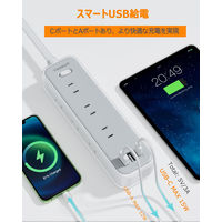 TESSAN 延長コード2m 電源タップ AC 9口 USB-A 2口 USB-C 1口 TS-709-C 1セット(1個×5)