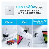 サンワサプライ  USB PD対応AC充電器（PD30W・Apple Watch充電） ACA-PD101（直送品）