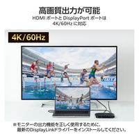 ドッキングステーション タイプC ハブ 13in1 Displaylink対応 USBハブ DST-W14 エレコム 1個（直送品）
