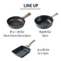 LIV PLUS CAROTE（カローテ） 深型フライパン 20cm IH ガス火対応 ブラック NMー5101 1個