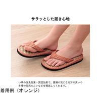 イケヒコ・コーポレーション 子供用七島い草 草履 オレンジ 20cm(適応サイズ16~18cm) 67-5723-23 1個（直送品）