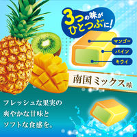 ソフトキャンディ 個包装 ハイチュウ 南国ミックス 12粒入 1セット(1個×6) 森永製菓