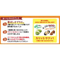 素材スナック菓子 miino ミーノ 香ばしナッツミックス そら豆黒豆アーモンド しお味 28g 1セット（1個×12） カルビー