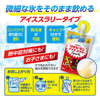 大正製薬 リポビタン　アイススラリー ハニーレモン風味 30個 保冷バッグ付きセット 1セット