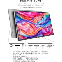 JAPANNEXT 16インチ ワイド モバイルモニター JNーMDーIPS16WQXGAR 1台