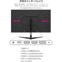 JAPANNEXT 31.5インチ ワイド液晶ディスプレイ JNーIPS3150WQHDR 1台