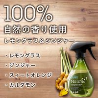 ファブリーズ ナチュリス 布用 消臭スプレー レモングラス＆ジンジャー 詰め替え10L（バックインボックス）1個 P&G