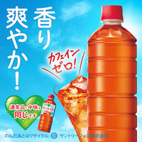 サントリーフーズ GREEN DA・KA・RA（グリーンダカラ）やさしいルイボス ラベルレス  600ml 1セット（48本）