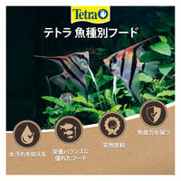 テトラ プレコ 植物食性 底棲魚用 観賞魚用フード 円盤タイプ 沈下性 80g 1個 スペクトラムブランズジャパン