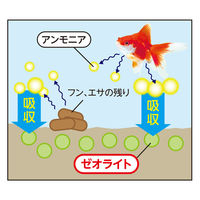 テトラ メダカ ラクラクお手入れ砂利 ブラックミックス 800g 1個 スペクトラムブランズジャパン
