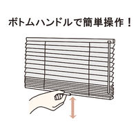 立川機工 ファーステージ ブラインド コードレス TK-5567 1800×800mm カルアベージュ 1台（直送品）