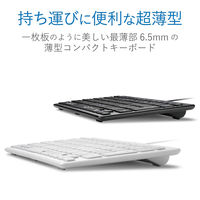 エレコム 有線ミニキーボード/パンタグラフ式/薄型/ホワイト TK-FCP096WH 1個