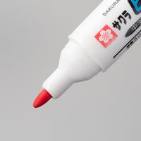 サクラクレパス ピグマックスツイン12色セット ZPK-T12 1個