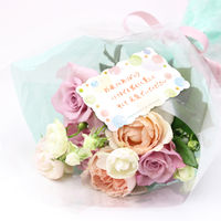 ササガワ ファンタジーカード カラフル 16-573 1セット(100枚入)