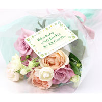 ササガワ ファンタジーカード カラフルクローバー 16-883 1セット(100枚入)