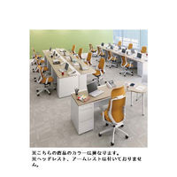 【無料引取付き】C633XW FSG3 |オカムラ シルフィー オフィスチェア ローバック 樹脂脚 背クッション 肘無し ライトグレー 1脚（直送品）