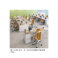 【無料引取付き】C633XW FSG8 |オカムラ シルフィー オフィスチェア ローバック 樹脂脚 背クッション 肘無し オレンジ 1脚（直送品）